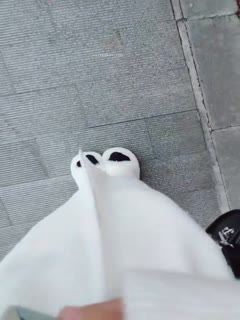 zhubo成都00年大胸妹_4754143_2022年11月18日15时17分16秒